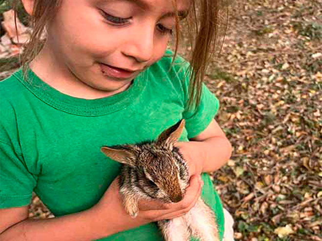Niño con un conejo